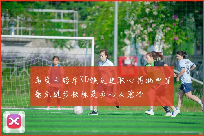乌度卡怒斥KD缺乏进取心再批申京毫无进步教练是否心灰意冷