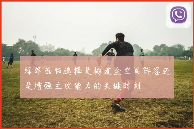 绿军面临选择是构建全空间阵容还是增强主攻能力的关键时刻